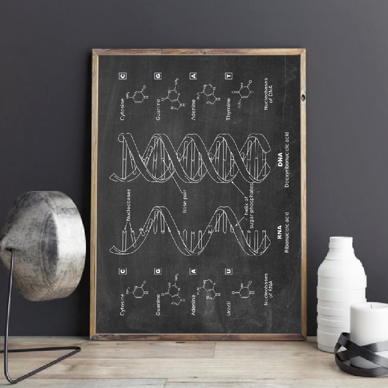 ДНК Патент Настенное Искусство – обзор и цена Star Map Poster